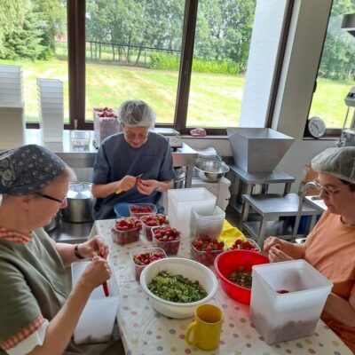aardbei inmaak